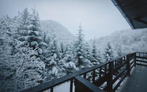 a view of a snow covered forest from a balcony at Pensiunea Limpedea in Baia-Sprie