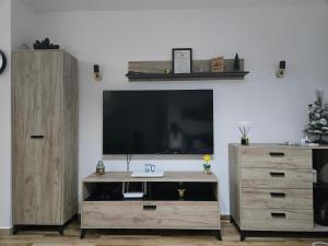 تلفاز و/أو أجهزة ترفيهية في Apartman Divcibare Bela NS 56m2 Lux