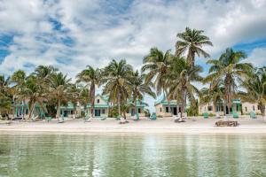 a row of houses on a beach with palm trees at Tranquility Bay Resort in San Pedro