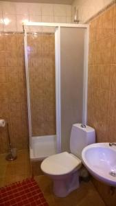 a bathroom with a toilet and a shower and a sink at Cheap And Chic in Rīga