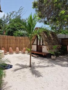 Zahrada ubytování Luna y Sol Glamping Holbox