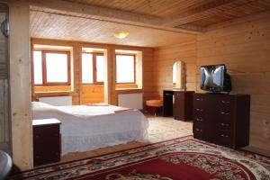 Televisyen dan/atau pusat hiburan di Gutsulochka Apartment
