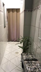 a bathroom with a shower with a plant in it at Apartamentos Mãe Aparecida do Norte in Aparecida