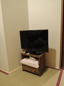 TV a/nebo společenská místnost v ubytování Guesthouse Engawa + 37 fotografií