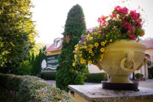 A garden outside Hársfa Szálló