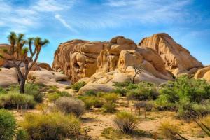 Příroda nedaleko prázdninového domu