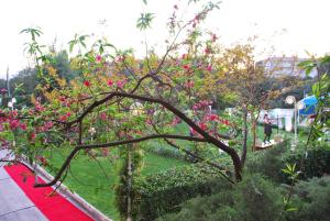 Φωτογραφία από το άλμπουμ του Buyuk Saruhan Hotel στη Μανίσα