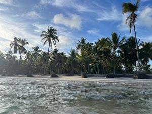 a beach with palm trees and the water at Casa com piscina pertinho da Praia l Milagres Hospedagens in Pôrto de Pedras