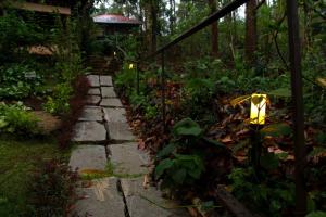 Κήπος έξω από το Jungle Retreat Wayanad +8 φωτογραφίες
