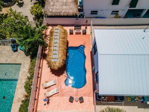 Bassein majutusasutuses Tiki Time! Pool-tiki Hut-kayaks-grill-ocean View! või selle lähedal