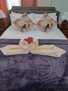 Fotografie z fotogalerie ubytování Mango Dance v destinaci Scarborough