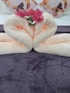 Fotografie z fotogalerie ubytování Mango Dance v destinaci Scarborough