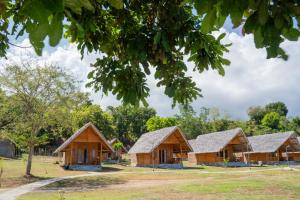 Eine Gruppe von Ferienhäusern mit Bäumen im Hintergrund in der Unterkunft Sofanda Resort & Dive in Nangamiro + 36 Fotos