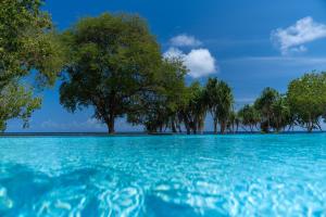 Eine Insel im Ozean mit Bäumen im Hintergrund in der Unterkunft Sofanda Resort & Dive in Nangamiro