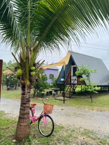 a pink bike parked next to a palm tree at NP โฮมสเตย์ นอนเต็นท์ติดแอร์ in Ban Kaeng Manao