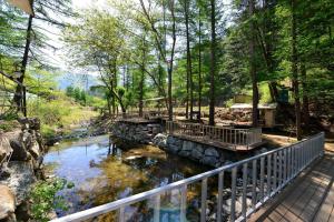 Phong cảnh thiên nhiên gần nhà khách