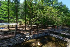 Phong cảnh thiên nhiên gần nhà khách