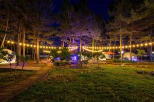 Taman di luar Kangneung Oranda Pension