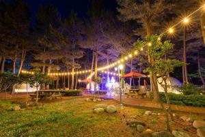 Taman di luar Kangneung Oranda Pension +41 gambar