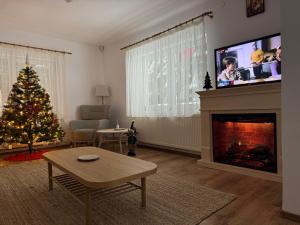 a living room with a christmas tree and a tv at Cabana ZIP in Zărneşti