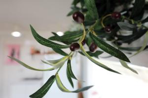 a plant in a white vase with cherries on it at Geoje olive couple pension in Geoje 