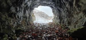 a large group of people standing in a cave at Cheoli and Miae in Yeongju