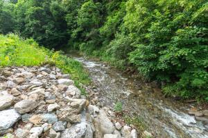 a rocky path next to a river with trees at Chuncheon inyeonga pension in Wikkŏndŭrae +9 photos