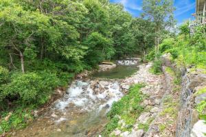 a river with rapids in the middle of a forest at Chuncheon inyeonga pension in Wikkŏndŭrae