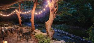Zahrada ubytování Toechon Cheonjinam Pension