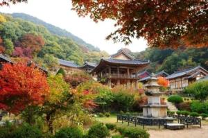 a building in the middle of a garden with trees at Seonbichon Lake Pension in Yeongju