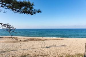 a beach with a pine tree and the ocean at Gangneung ST153 in Kyŏngp'o-mal