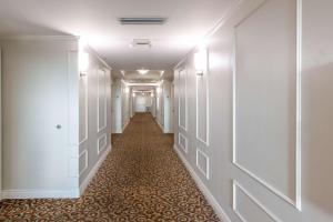 Fotografie z fotogalerie ubytování Wyvern Hotel, Ascend Hotel Collection v destinaci Punta Gorda