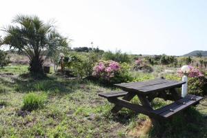 Zahrada ubytování Jeju bog-eum Pension