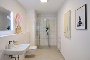 a bathroom with a sink and a toilet and a shower at Apartment C6 - mit großem, überdachten Südbalkon im "Pine Hill Resort" in Zirchow