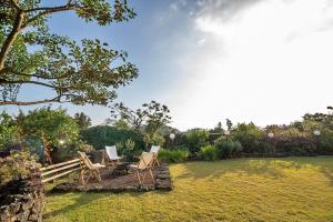 two chairs and a table in a yard at Chungsoo Inn in Jeju +9 photos