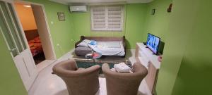 a living room with green walls and chairs and a television at Apartman Bruno in Senta