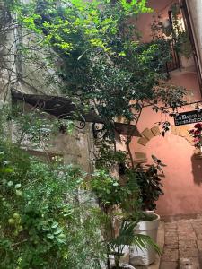Zahrada ubytování B&B Bari Vecchia R