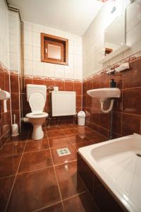 a bathroom with a toilet and a sink at Csalóka kulcsosház in Harghita-Băi