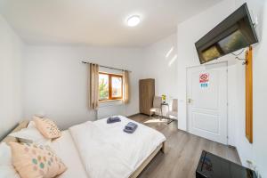 een woonkamer met een bank en een flatscreen-tv bij La Casa Blanca in Vladimirescu +80 foto's