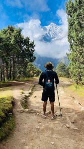 JibhiにあるThe Rustic Jibhi - Backpackers Hostelの山を見つめる未舗装の道に立つ男