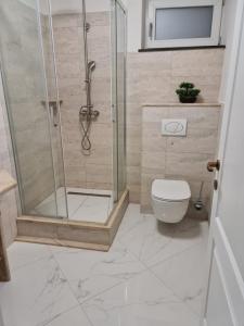 a bathroom with a shower and a toilet at Parc Residence 3 in Sighetu Marmaţiei