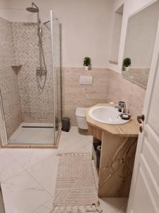 a bathroom with a shower and a sink and a toilet at Parc Residence 3 in Sighetu Marmaţiei