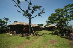 a group of huts with a tree in the grass at Traditional Hanok thatched house in Seogwipo