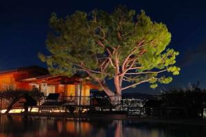 a tree in front of a house at night at Villa Panorama Residence in Gardone Riviera