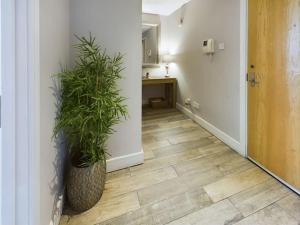 a hallway with a potted plant on the floor at Stunning 2BR Apt in City Centre in Belfast +3 photos