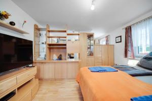 Kuchyň nebo kuchyňský kout v ubytování Ferienhaus Heidi
