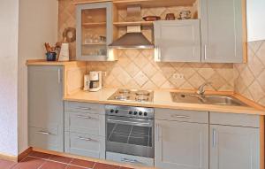 RoggentinにあるFerienwohnung Mirow Roggentinのコンロとシンクのあるキッチン