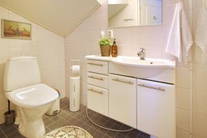 a bathroom with a toilet and a sink at Levin Lumienkeli A6 in Levi +12 photos