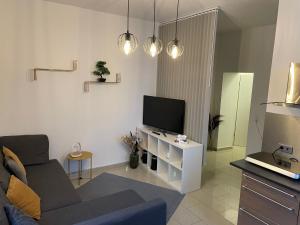 a living room with a couch and a flat screen tv at Schönes Apartment am Rhein - Zentral in Koblenz
