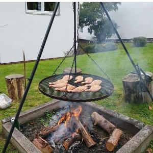 a grill with chickens cooking over a fire at Ferienhaus an der Saline in Bad Karlshafen